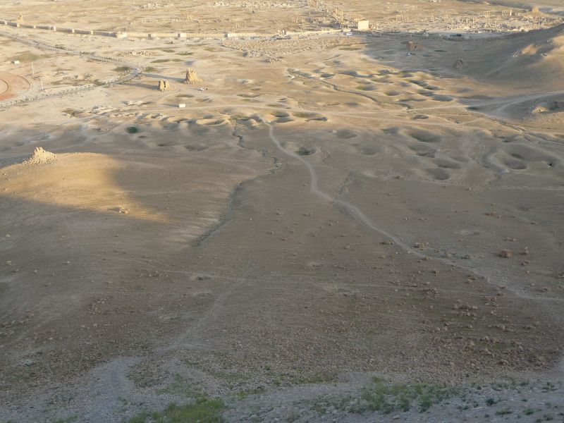 P1030599.JPG
